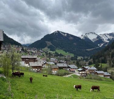 Chatel Ski Chalet | Chalet Alpaga 3 classé 4 étoiles