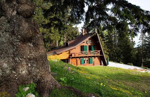 Ambroz pod Krvavcem Ski Chalet | Chalet Alpinka