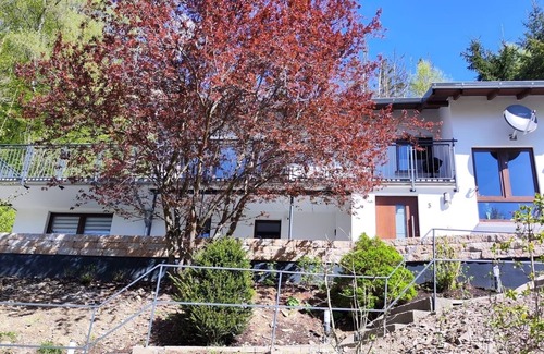 Heringhausen Apartment | Chalet am Diemelsee vacation apartment with terrace in Sauerland Willingen Winterberg
