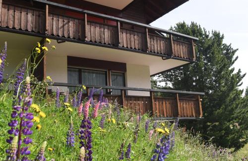 Arosa Apartment | Chalet Christina 7