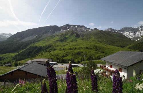 Arosa Apartment | Chalet Christina 7