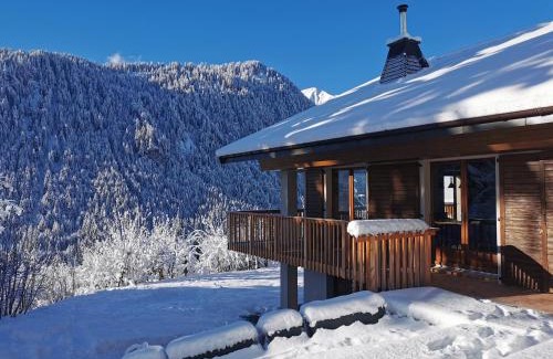 Chatel Ski Chalet | Chalet Domisiladoré - chalet haut de gamme pour 10 adultes et 2 enfants à Châtel