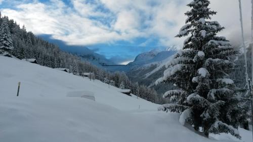 Couta Ski Chalet | Chalet Edelweiss