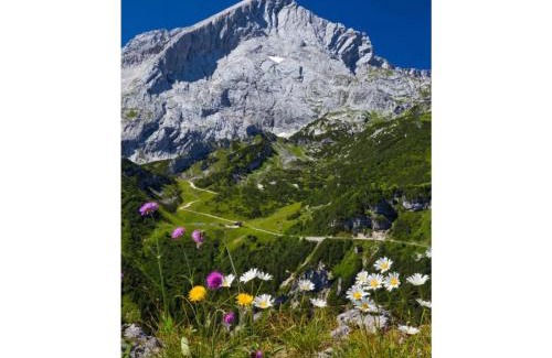Sonnenbichl Apartment | Chalet Falkenstein