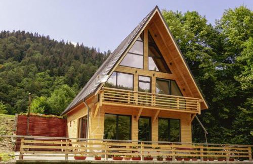 Tarcau House | Chalet Green