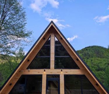 Tarcau House | Chalet Green