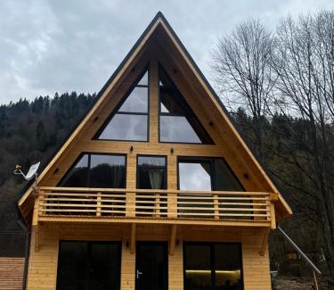 Tarcau House | Chalet Green