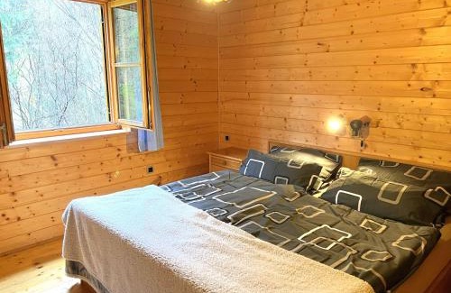 Sankt Aegyd am Neuwalde Ski Chalet | Chalet Haus Ahlfeld by Interhome