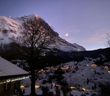 Grindelwald Apartment | Chalet Herrschaft