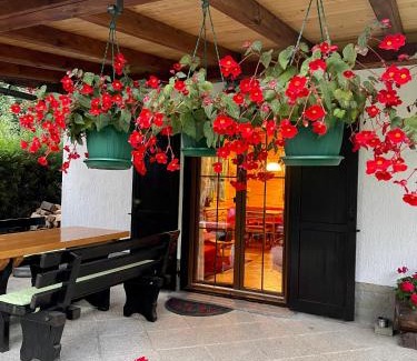 Lokve Ski Chalet | Chalet House Olga
