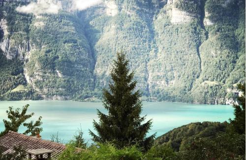 Oberterzen House | Chalet im Gus - Flumserberge & Walensee