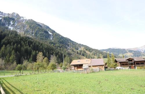 Lenk Apartment | Chalet in Lenk near Simmen Falls