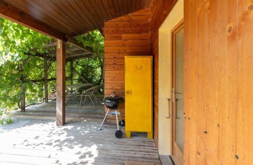 Darbres Ski Chalet | Chalet Jaune - Piscine Partagée