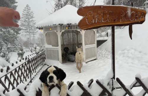 Sinaia Apartment | Chalet jolie Luxury Vila Sinaia