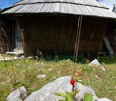 Kamnik House | Chalet Korosica Velika Planina