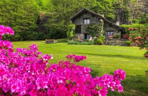 Croveo House | Chalet La Baita