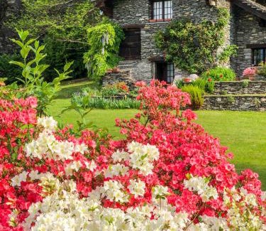 Croveo House | Chalet La Baita