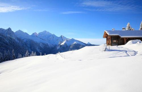 Manigod Ski Chalet | Chalet La Trafolée