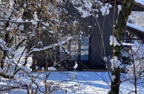 Saint-Gervais-les-Bains Ski Chalet | Chalet Le Paddock