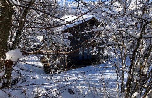 Saint-Gervais-les-Bains Ski Chalet | Chalet Le Paddock