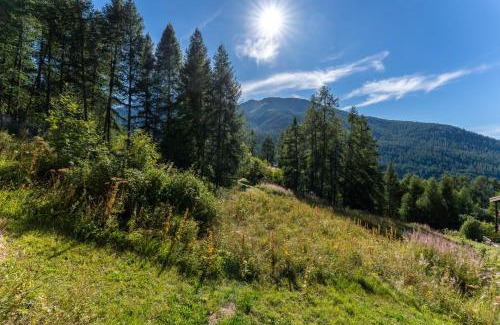 Les Orres Apartment | Chalet les arolles
