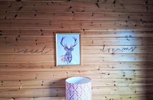 Kinross Ski Chalet | Chalet Loch Leven Lodge 12 by Interhome