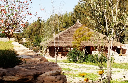 Essaouira House | Chalet Mimosa Roumanie.