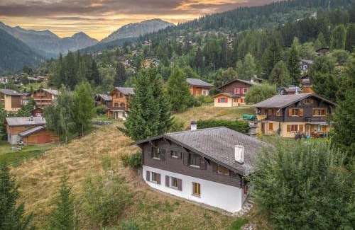 Riddes Ski Chalet | Chalet Nicolas