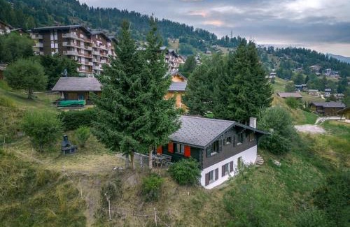 Riddes Ski Chalet | Chalet Nicolas