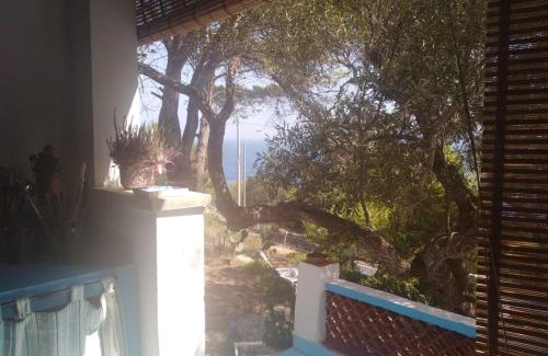 Marina di Marittima Ski Chalet | Chalet pagghiara
