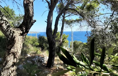 Marina di Marittima Ski Chalet | Chalet pagghiara