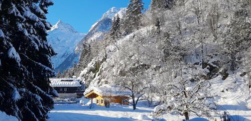 Lofer Ski Chalet | Chalet Sonnheim