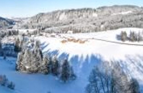 Jungholz House | Chalet Steinbock - Schrofen Chalets