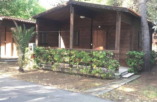 Foce Varano Apartment | Chalet Viola Beach Village