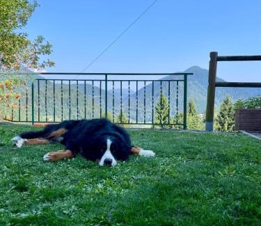 Pieve Tesino Apartment | Chalet Vista Montagna - Silenzio Verde e Natura