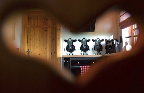 Brilon Apartment | Chalet with 50sqm, 1 living-bedroom