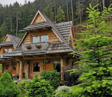 Demanovska Dolina Ski Chalet | Chalets Adriana
