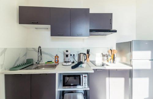 Les Poulettes Apartment | Chaleureux appartement T2 au calme et climatisé proximite centre lyon