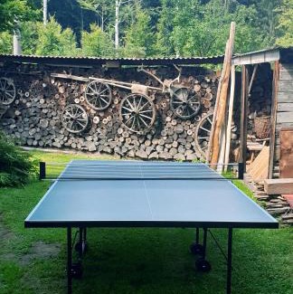 Borotin House | Chaloupka u lesa