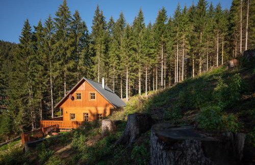 Velke Karlovice Cabin | Chalupa na Leskové