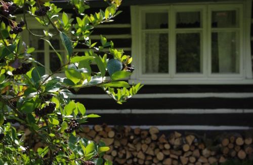 Ceska Metuje House | Chalupa Skalka
