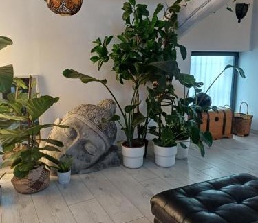 Saint Michel d'Euzet House | Chambre d'Hôtes & Spa - Le Loft Gard