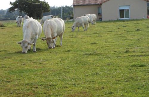 Neuvy-en-Mauges Bed & Breakfast | Chambre D'hôtes La Basse Gougeonnière