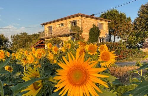 Xaintrailles Bed & Breakfast | Chambre leo