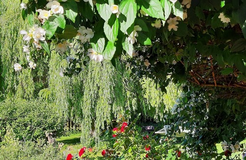 Thonville Bed & Breakfast | Chambres Calme, Nature, Détente
