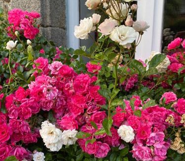 Saint-Brieuc Bed & Breakfast | Chambres d hôtes du Moulin à papier
