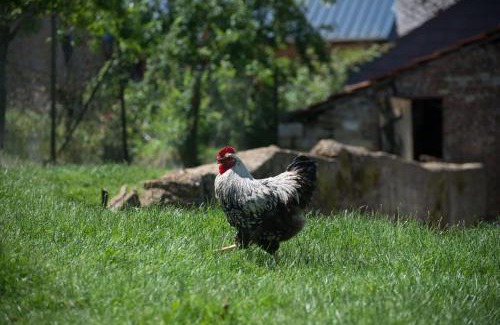 Girondelle Bed & Breakfast | Chambres d'hôtes L'Hirondelle