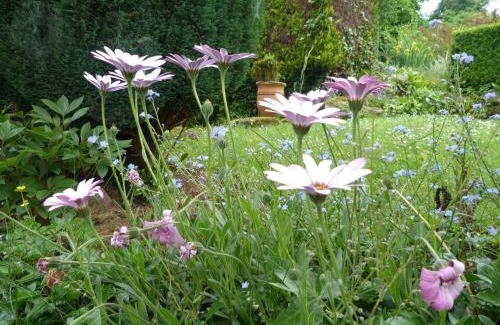 Dinan Bed & Breakfast | Chambres d'hôtes Logis Du Jerzual