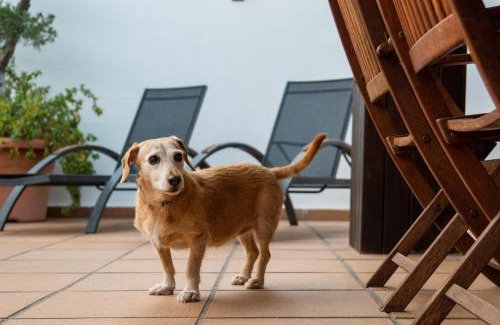 Cambrils House | "Charm & Cozy 4BR - 3BA with Pool & Barbecue"