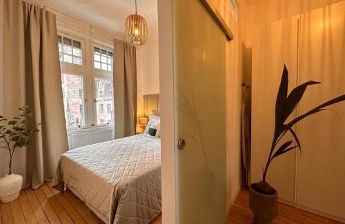 Saarbruecken Apartment | Charmant and Exclusive Apartments im Herzen Saarbrückens